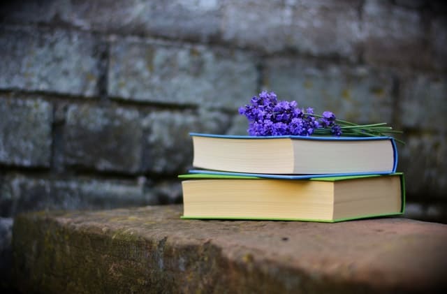 homeschool, homeschool planning, homeschool curriculum, homeschool high school, homeschool courses, how to homeschool, what to teach my homeschooler, hope in the chaos