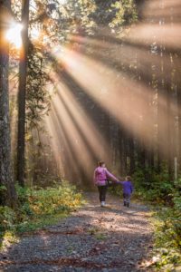 homeschool, homeschooling, home education, how to homeschool, should i homeschool, reasons to homeschool, homeschool tips, homeschool families, homeschool help, hope in the chaos