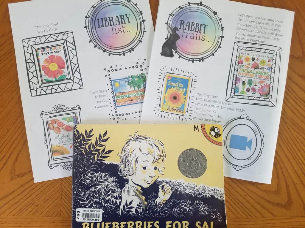 rabbit trails, rabbit trails through literature, homeschool, homeschool curriculum, homeschool language arts curriculum, homeschool reviews, homeschool curriculum reviews, rabbit trails reviews, hope in the chas