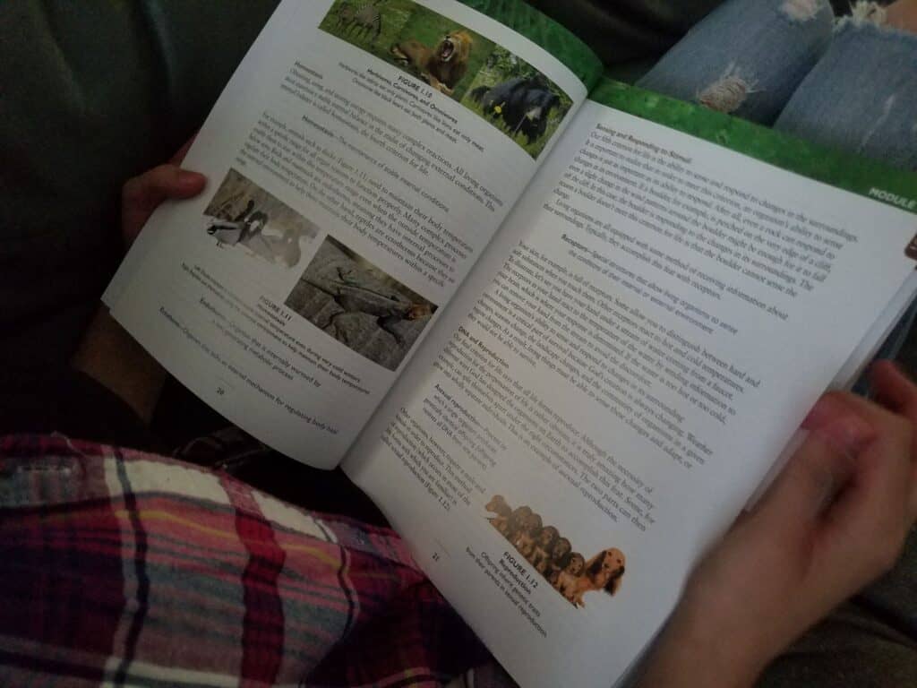 high school biology, apologia biology, high school science, homeschool science