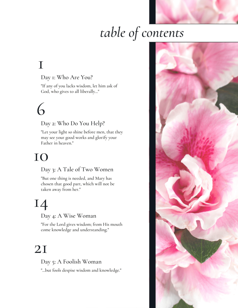 Becoming A Wise Woman Sales Page - Hope In The Chaos - Wise Guide Create A Beautiful